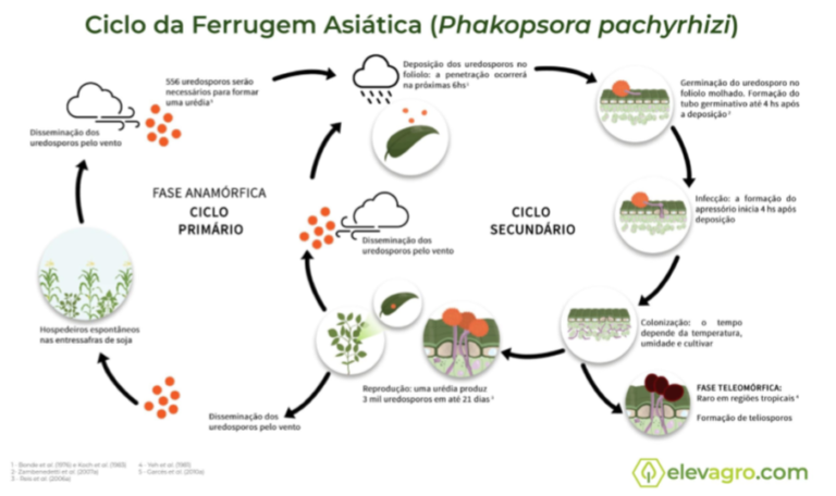 Ferrugem Asi Tica Da Soja Saiba O Que E Formas De Manejo