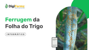E-book gratuito sobre Ferrugem da Folha do Trigo